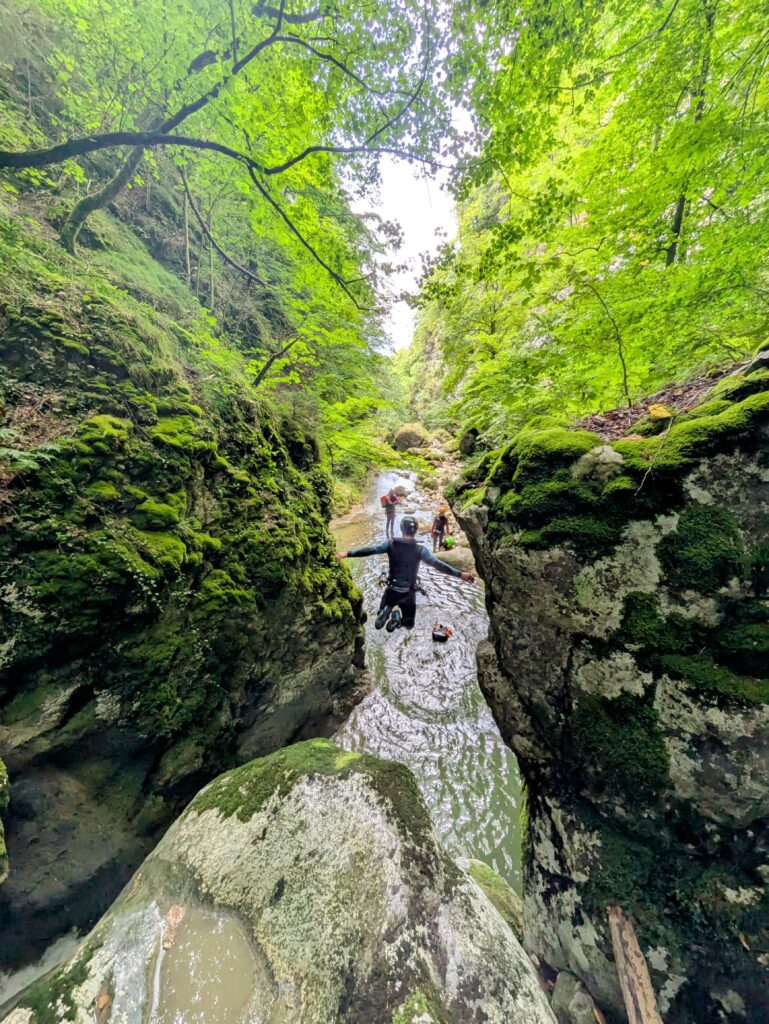 pxl 20250727 091803455~2