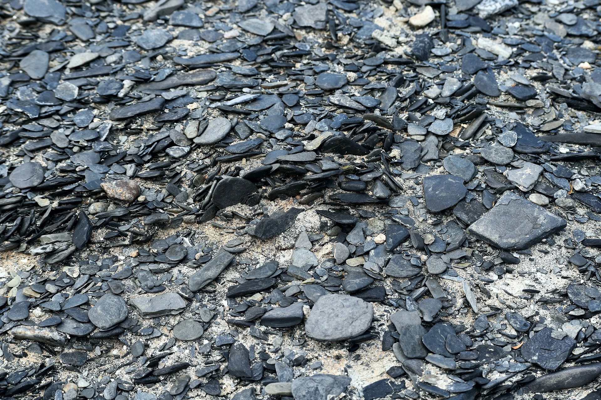 Schiste feuilleté et roche métamorphique en canyon
